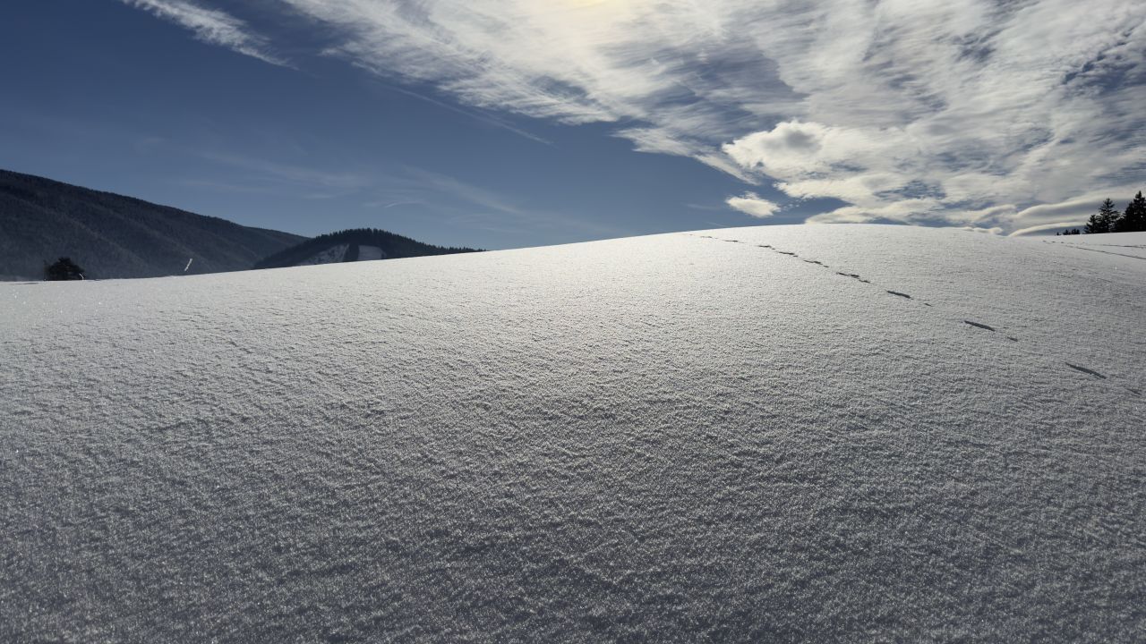 Mare e montagna nel tempo di Einstein:  cosa cambia davvero tra Ostia e le Alpi